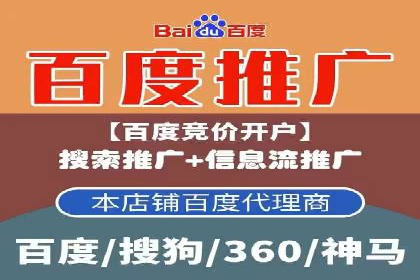 百度推广公司的成功案例：如何实现广告投资回报最大化